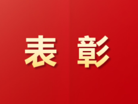 祝賀！這些青年集體和個(gè)人榮獲中國物流表彰！
